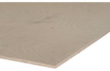 Berken multiplex 15mm 125x250cm BB/CP