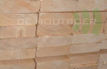 SLS 38x120mm 510cm