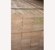 SLS 38x120mm 390cm