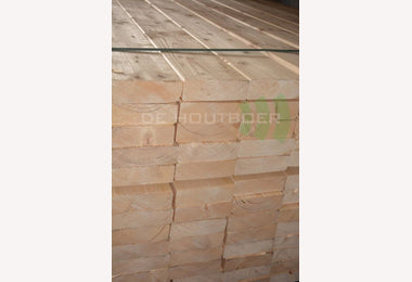 SLS 38x120mm 450cm