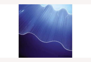 Golfplaat meerwandig (3W) 6mm 110x305cm type 177/51 polycarbonaat