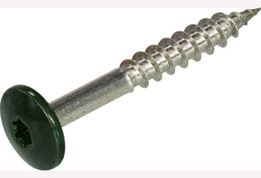 4.8x38mm RVS 100st RAL 6009 (dennengroen) volkernschroef