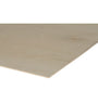 Berken multiplex 15mm 125x250cm BB/CP