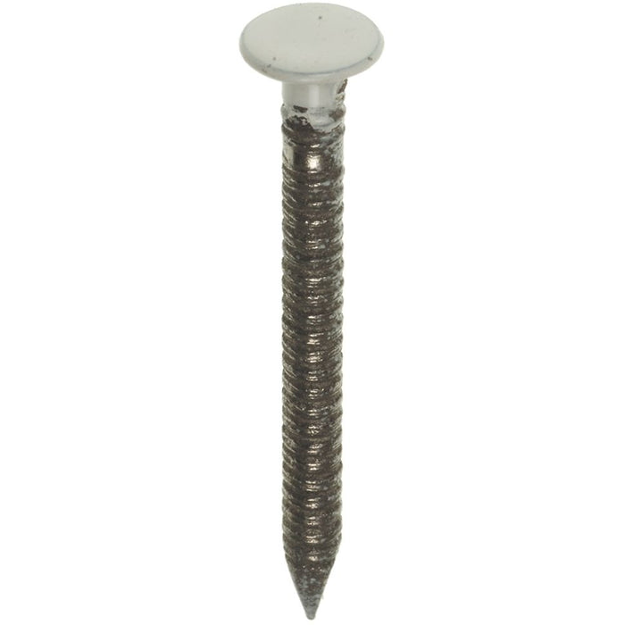 Kleurkop ringnagel 2.7x45mm Ral 9001