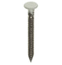 Kleurkop ringnagel 2.7x45mm Ral 9001