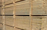 Steigerplank 32x200mm 510cm PALLET (80st)